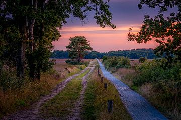 Ondergaande zon van Leon Okkenburg