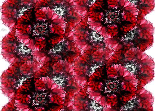 Le pays de la fleur inconnue