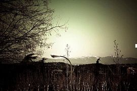 Sierra de Guadarrama, Madrid by Stan Vanneste