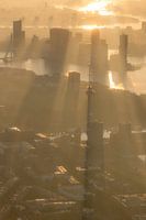 It's raining sunshine in Rotterdam