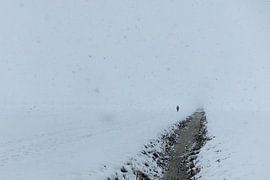 Alone with the snow by sQuarecoW