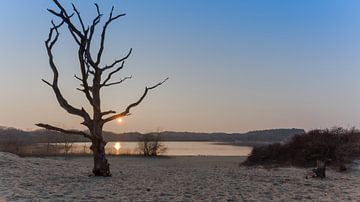 Facing West sur Scott McQuaide