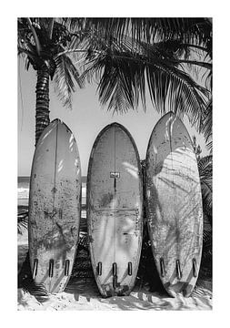 Surfboards Leaning against a palm tree on the beach by Felix Brönnimann