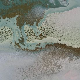 Drifting Shallows van Petra Meikle de Vlas