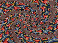 Parrot Spirals