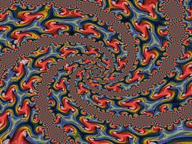 Papagei-Spiralen von Tis Veugen