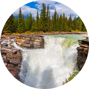 Athabasca waterval in Jasper N.P, Alberta, Canada