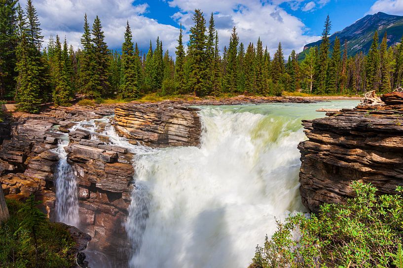 Athabasca-Wasserfall in Jasper N.P., Alberta, Kanada von Henk Meijer Photography