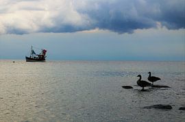 Nimm mich mit Kapitän...