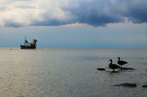 Neem me mee, kapitein...