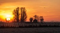 koude zonsopkomst