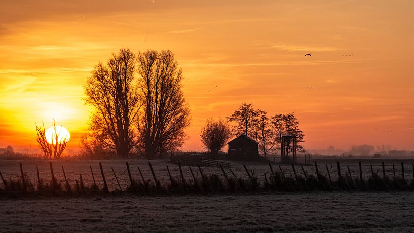 kalter Sonnenaufgang von Henk Roosing