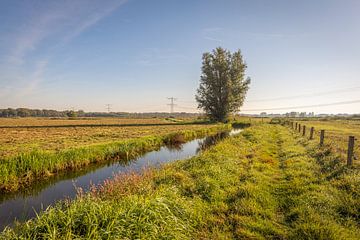 Lage Vuchtpolder, Teteringen