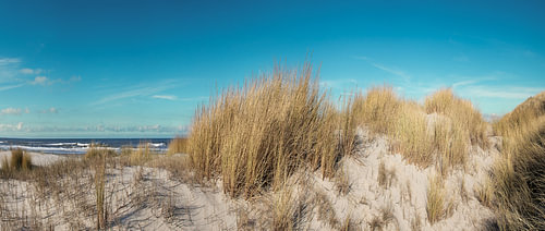 Dünen auf Vlieland