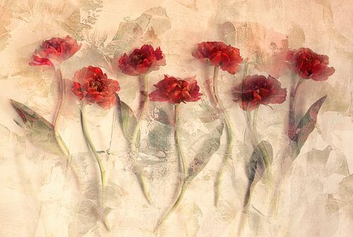 Encore des tulipes... sur Ellen van Deelen