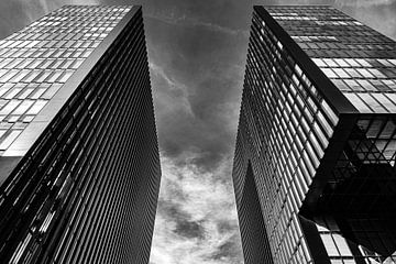 Hoteltorens in zwart-wit van Dieter Walther
