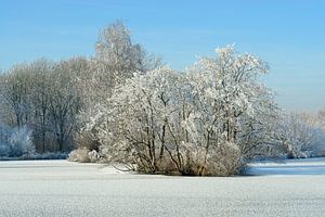 Bevroren plas met berijpte winterboom (2) van Merijn van der Vliet