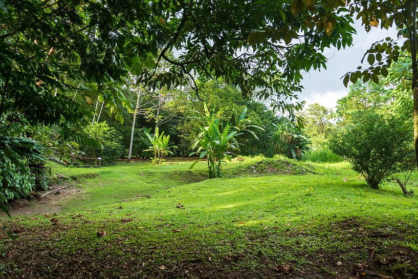 Sarapiquí Selva Verde, schöner grüner Regenwald in Costa Rica von Mirjam Welleweerd