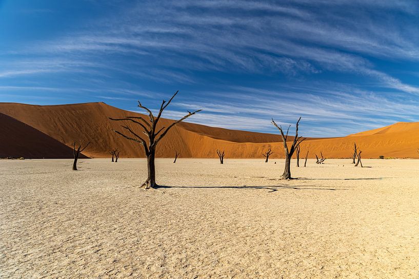 Deadvlei IV von Anneke Hooijer