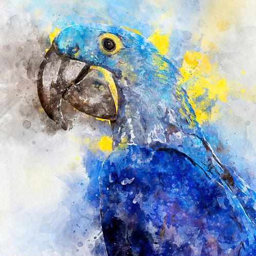 Hyazinthen-Ara-Porträt