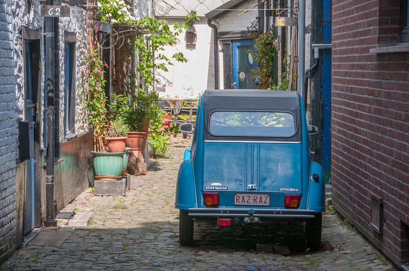 lemon an alley by Marc van Gessel