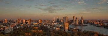 Skyline Rotterdam vanaf de Euromast