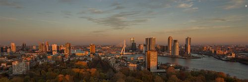 Skyline Rotterdam vanaf de Euromast