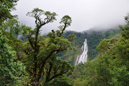 Stella Falls van veraf