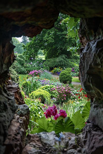 transparent par Imperial Art House