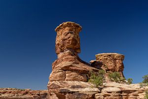 Canyonlands, een verrassend landschap