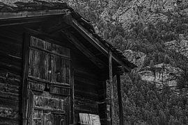 Une tranquillité intemporelle sur Maaike Manshanden