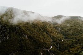 Early morning on Madeira by Inge Pieck