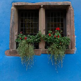 Fenster in Blau von MDRN HOME