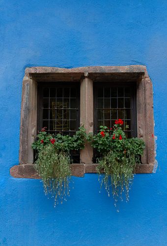 Window in Blue