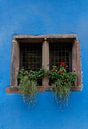 Fenster in Blau von MDRN HOME Miniaturansicht