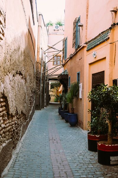 Street in Marrakech by Patrycja Polechonska
