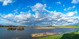 Mooie wolkenlucht boven onder gelopen uiterwaard von Fokko Erhart