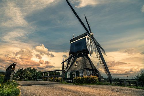 Hollandse Molen