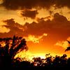 Ein Tropischer Sonnenuntergang  -  A Tropical Sunset von Christiane Schulze