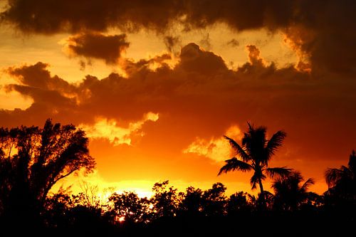 A Tropical Sunset - A Tropical Sunset