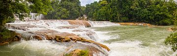 Het natuurwonder: Cascadas de Agua Azul, Mexico van Andreas Peters