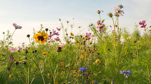 Colors make me happy!