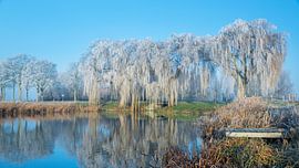 Reif im Hoekschen Waard von Leontine van der Stouw