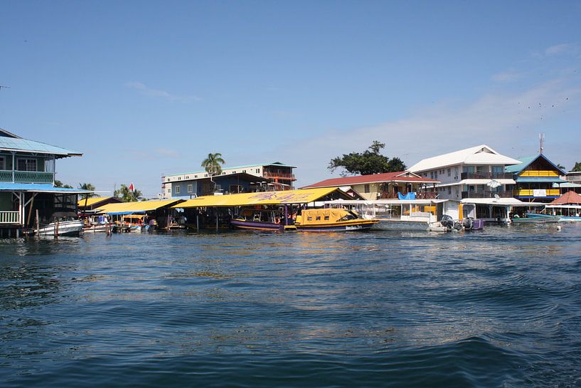 Kleurrijke Caraïben von Mr Greybeard