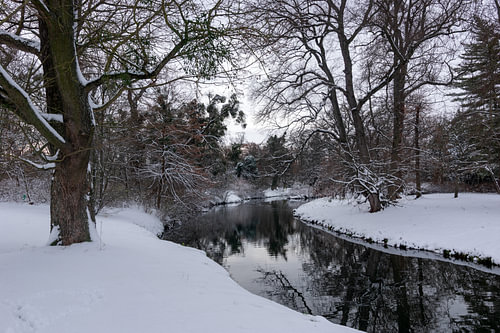 Quiet Winter Reverie - Snow-Draped Stream for Minimalist Zen Bedroom
