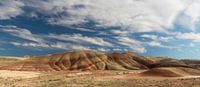Felgekleurd gesteente in de zandsteenlagen van de  'Painted Hills' van Jonathan Vandevoorde thumbnail