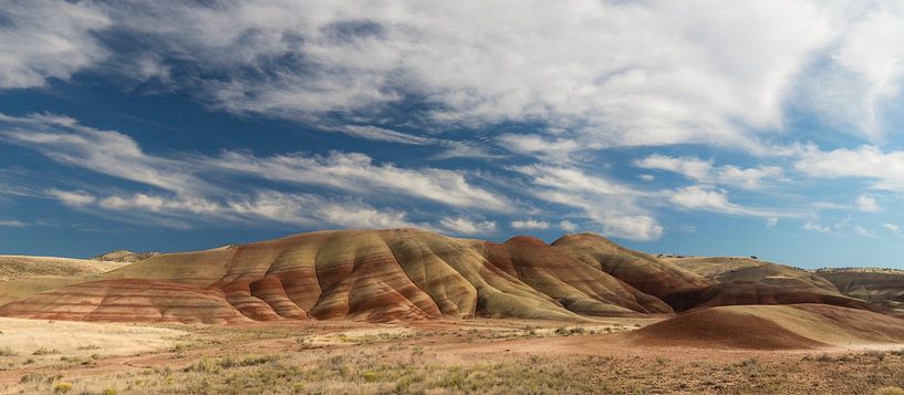 Felgekleurd gesteente in de zandsteenlagen van de  'Painted Hills' van Jonathan Vandevoorde