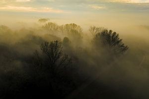 Nebliger Wald aus der Vogelperspektive im Herbst