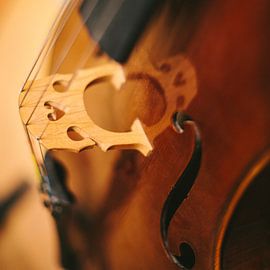 Violoncelle sur Colin van der Bel