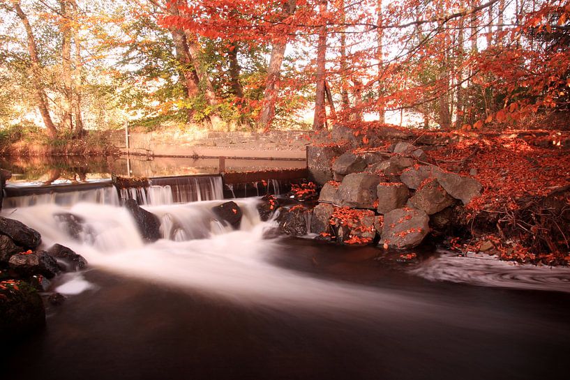 Little Fall par Ernie Mussche